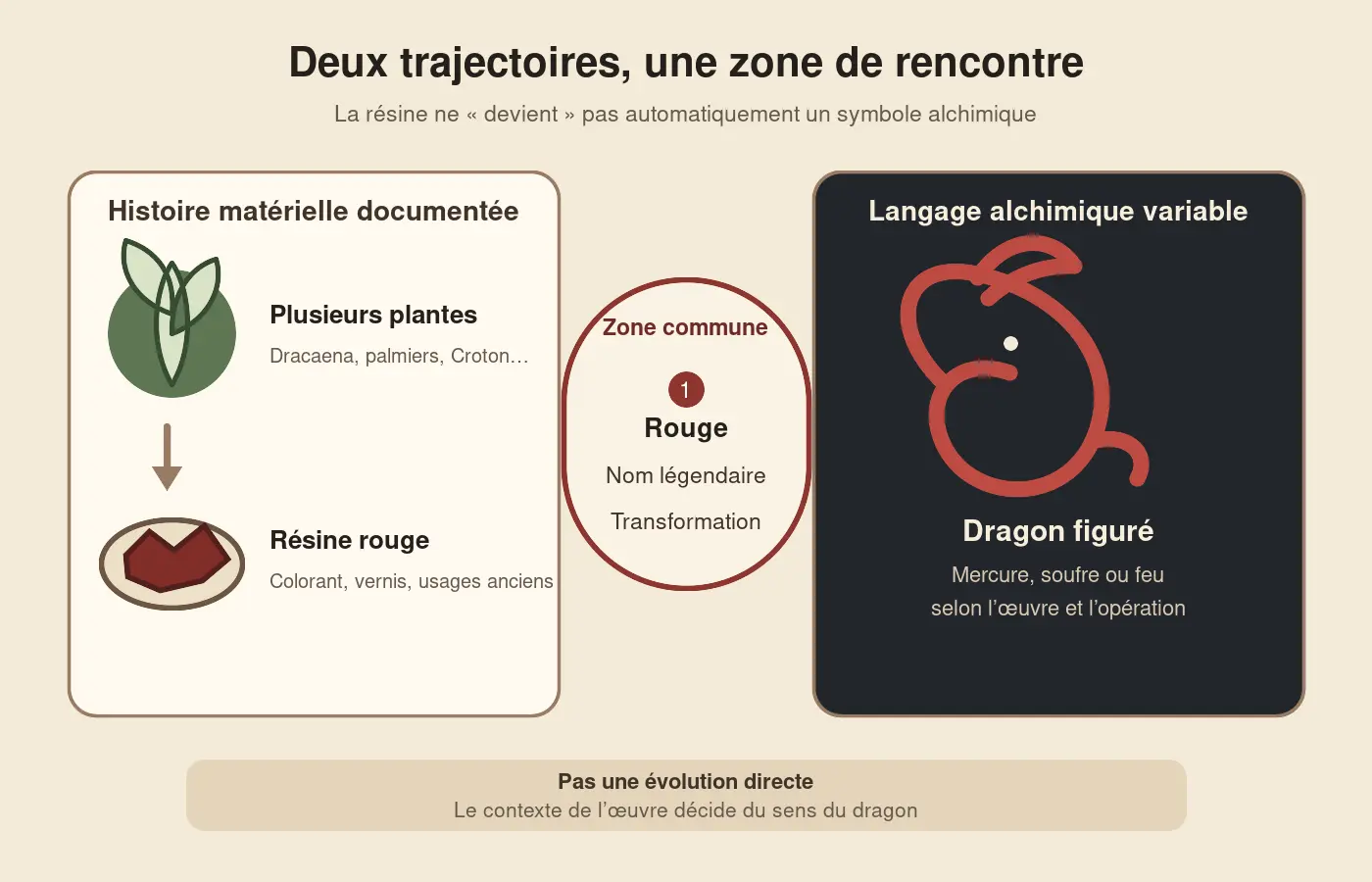 Schéma distinguant la résine végétale rouge du dragon symbolique dans un manuscrit alchimique.